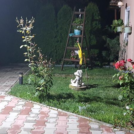 דירות סיגישוארה Casa Ella מראה חיצוני תמונה
